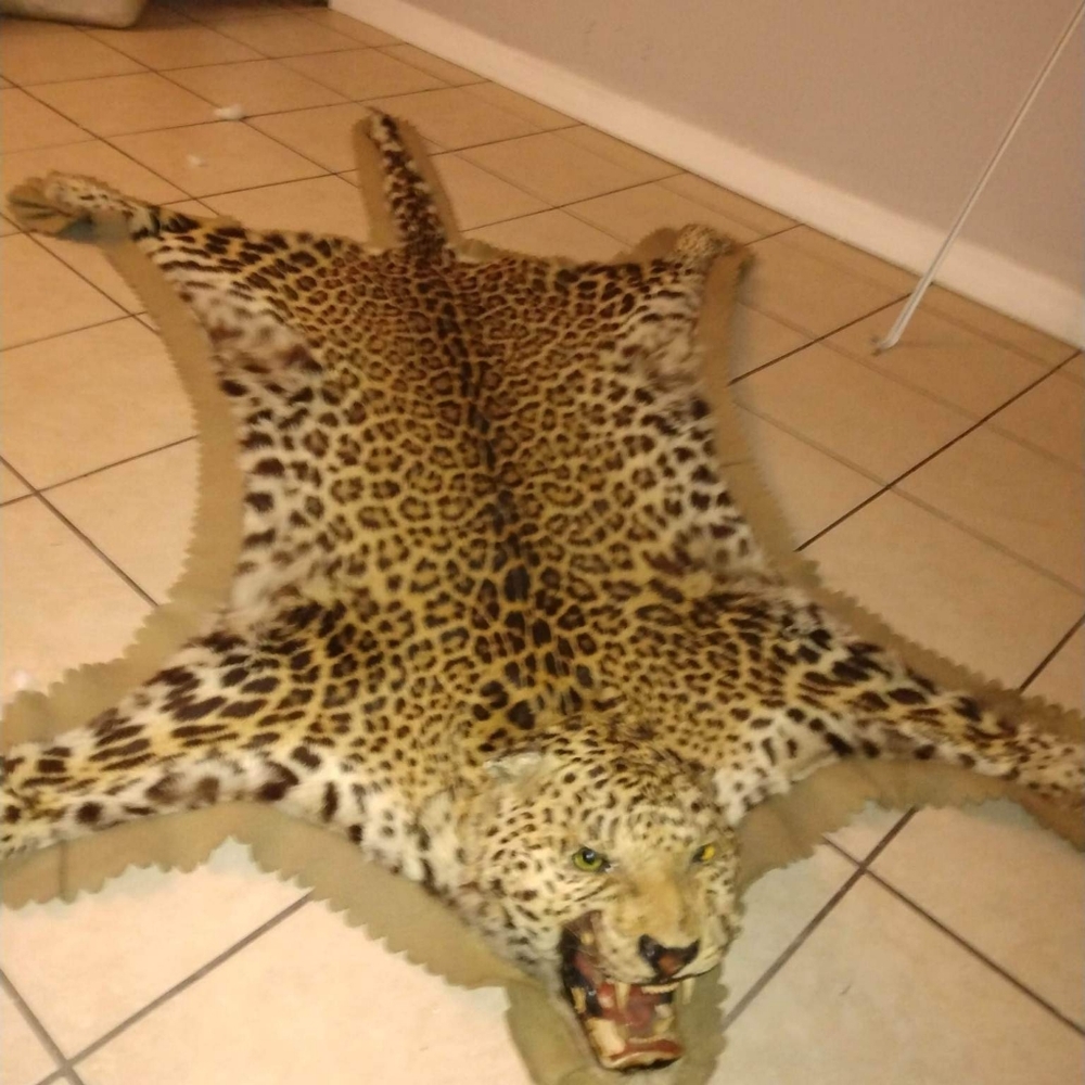 Leapord  skin rug